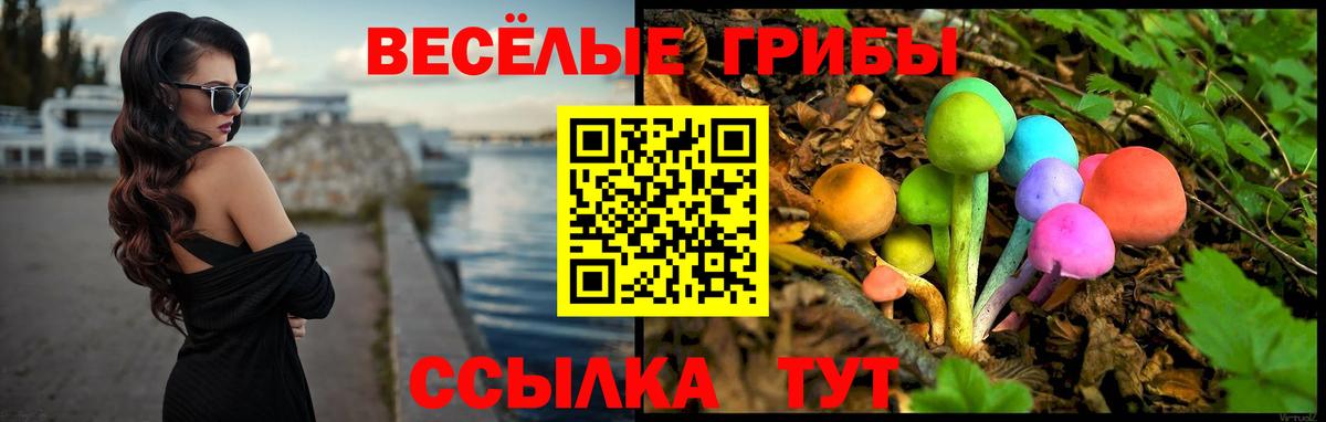 Галлюциногенные грибы ЛСД Клинцы